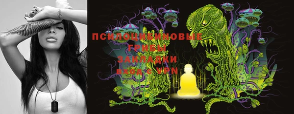 эйфоретик Абинск