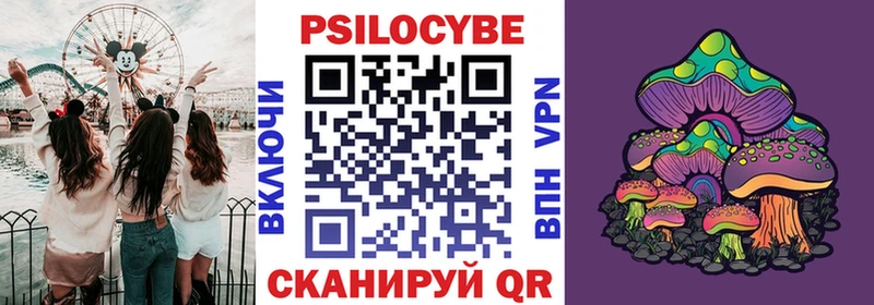 наркотики мориарти Telegram Псилоцибиновые грибы Psilocybe Уфа